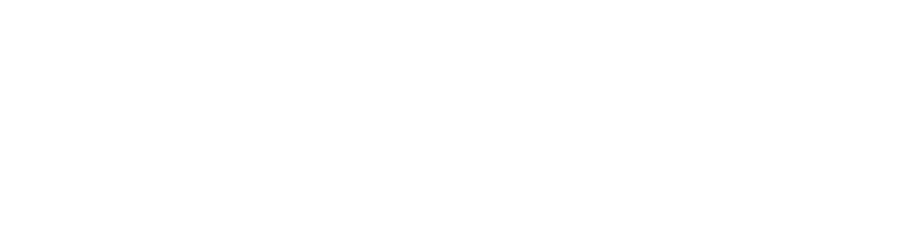 logo intex white